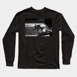 harness horse cart racing - 12 Long Sleeve T-Shirt